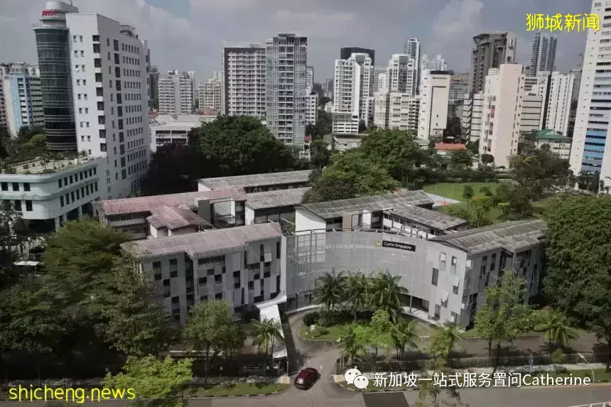 想进政府学校的看过来:新加坡学生的升学途径