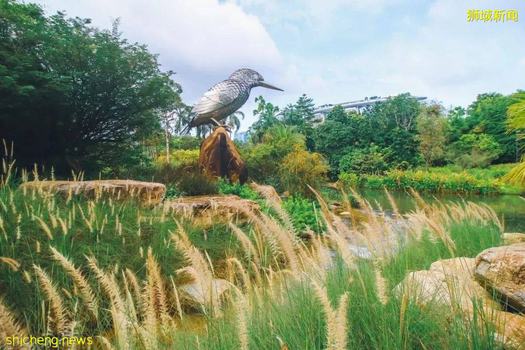 走起!滨海湾花园新景点,翠鸟湿地公园,徒步&观鸟好地方