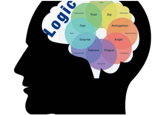 双语教育的好处,1+1>2