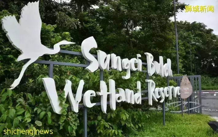 《即刻隨心所想，心想獅城》新加坡生態遊系列2