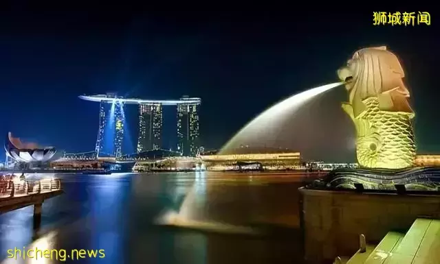 看不見的“右手”和看得見的“左手”—近距離看新加坡