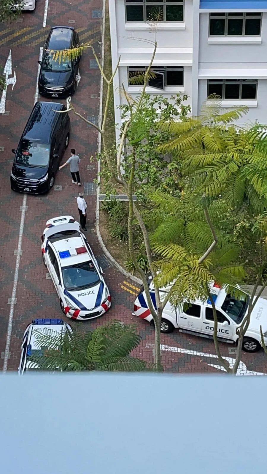 榜鵝連續傷人的野豬剛被抓!蜥蜴又吞蛇了