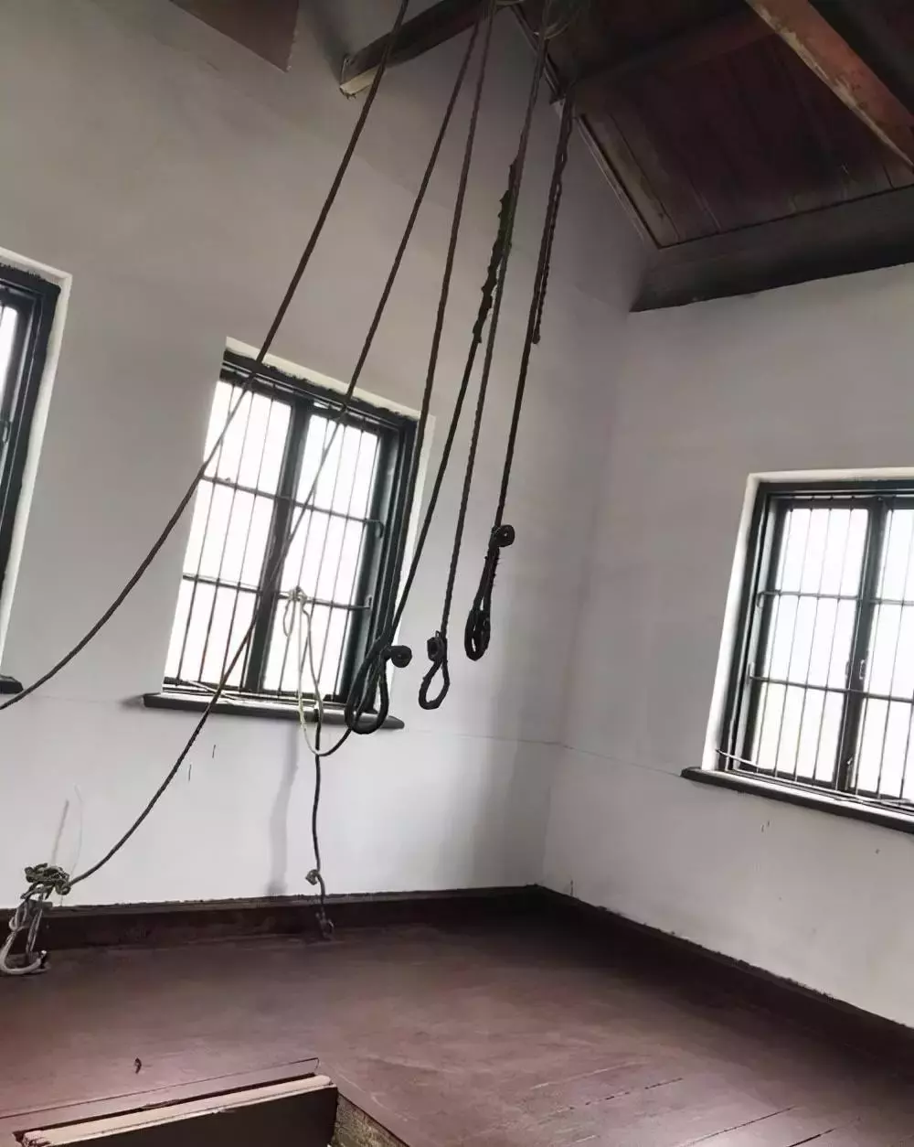 巩俐是新加坡籍的?新加坡还有哪些冷知识,网友:真羡慕