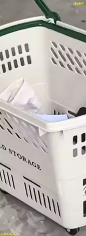 新加坡學生花式“無背包日”，看看誰上學最拉風