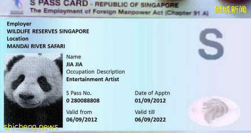 新加坡收緊外籍員工入境政策！這一中文MBA課程助你升職加薪拿PR