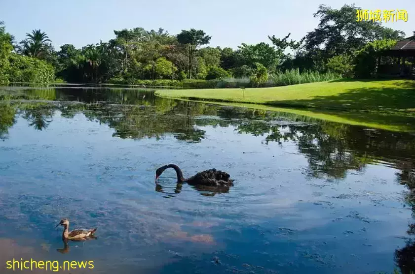 3 Orchard By The Park 【永久業權世代傳承】第十郵區烏節路上繁華地段中的甯靜奢華