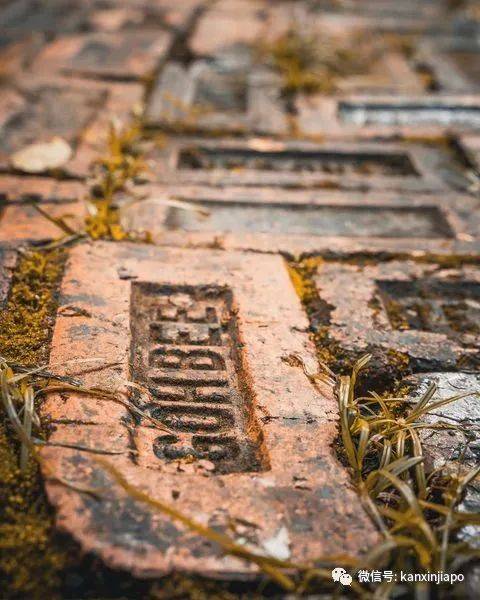 有茅房、有砖门！新加坡保留最完整的中国村藏这里