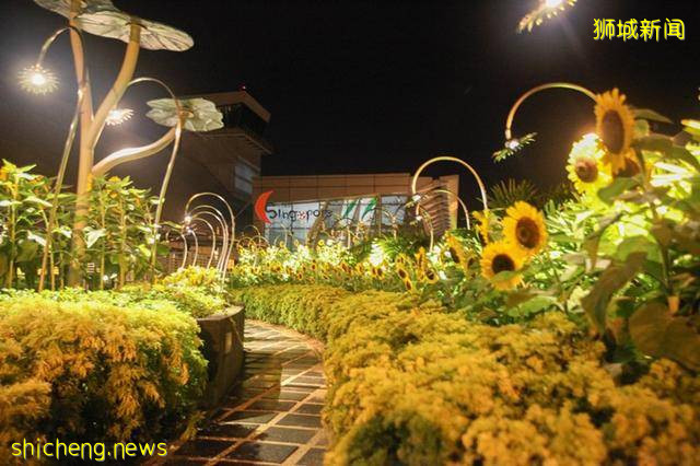 谁说机场一定无聊,新加坡机场到底有多好玩