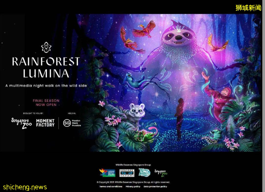 新加坡 中秋節野生動物之夜!酷炫探險~帳篷晚餐~賞月之旅