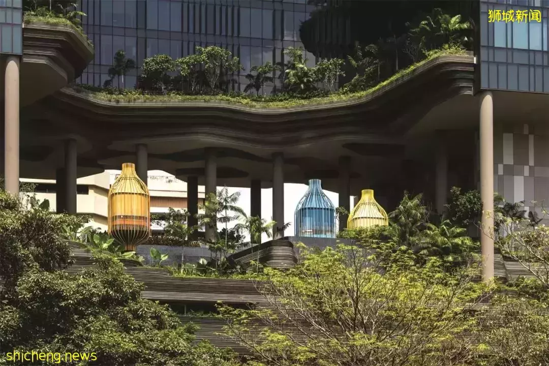 新加坡皮克林賓樂雅花園酒店 / Tierra Design (S) Pte Ltd