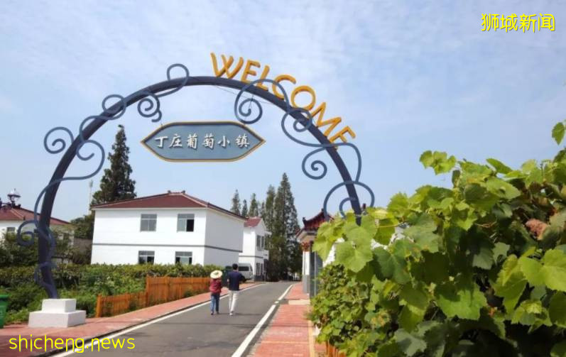 江蘇丁莊葡萄“甜”到東南亞,出口新加坡、馬來西亞首發儀式舉行