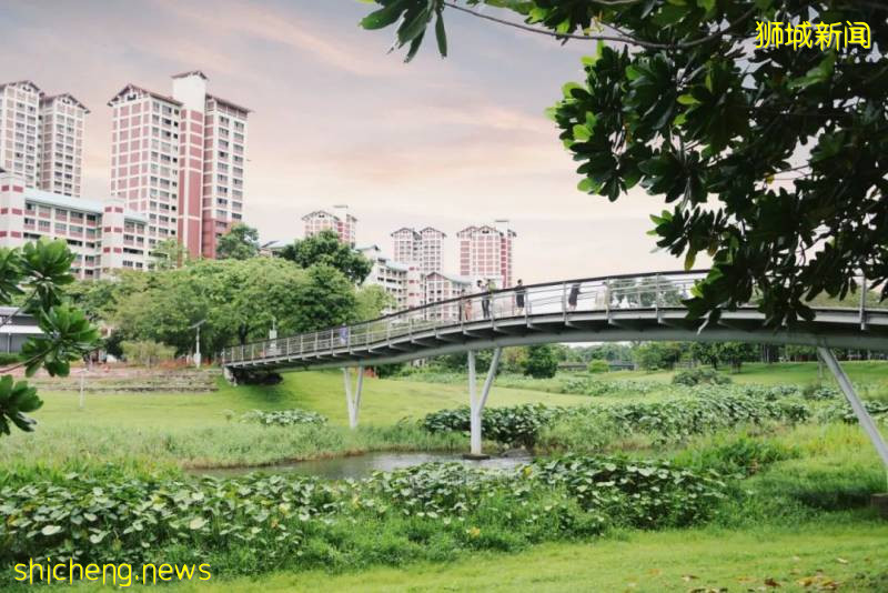 建築旅行 | 新加坡小衆景觀公園!