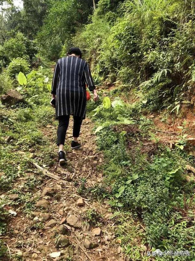 南安乐峰的新加坡国宝潘受,他的父亲竟是位“医神”