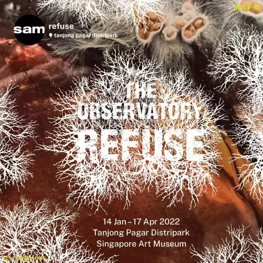 新加坡近期视觉艺术展览好推荐,适合拍照打卡
