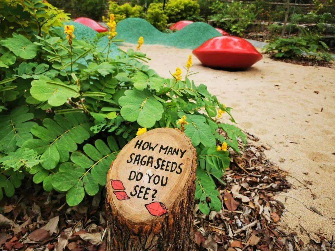 新加坡植物園爆火新景點,不知道怎麽去?手把手教你遊玩攻略