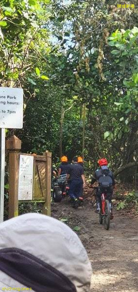 狮城青年小径骑脚踏车 突心脏骤停