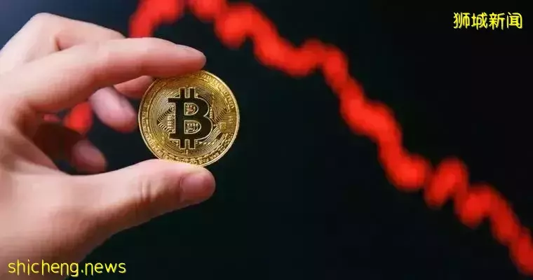 新加坡副總理再重申:投資有風險,散戶應遠離加密貨幣