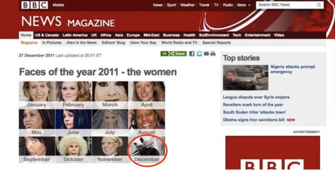 英国计划把大熊猫退回中国,养不起了~“看新加坡的熊猫多好命!”