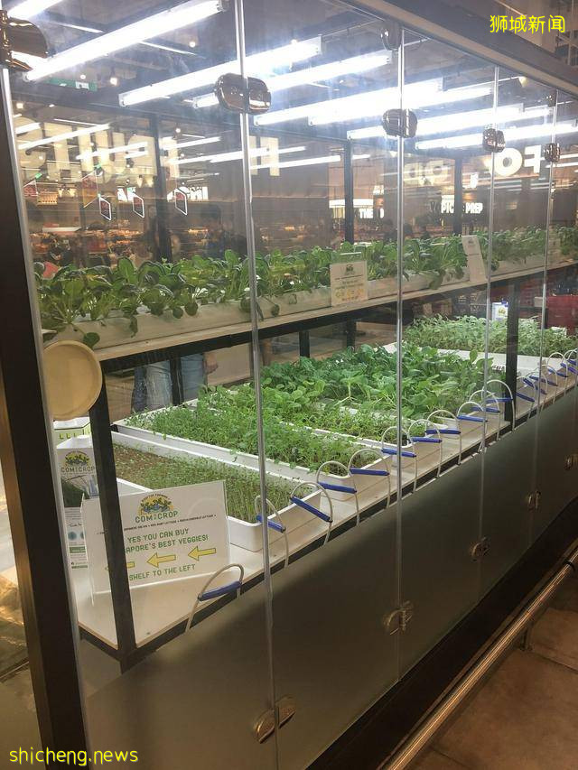 50张照片告诉你，“新加坡”有多么与众不同