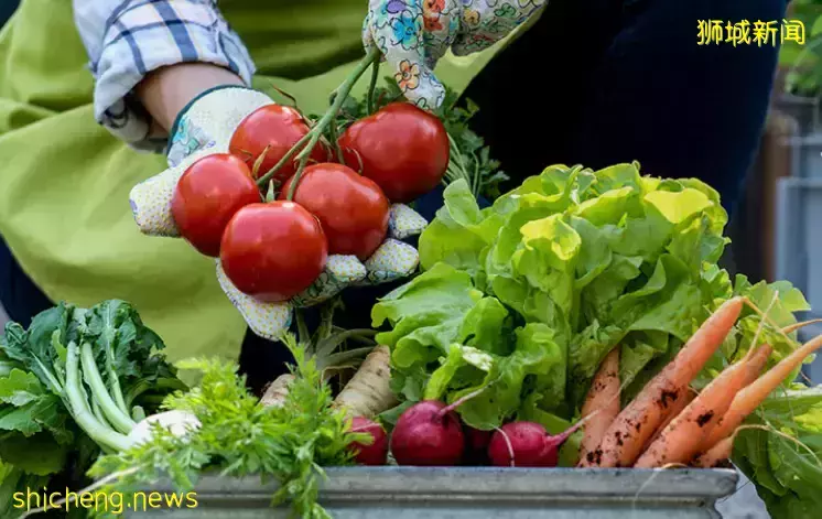 吐血整理：新加坡全島20大生鮮超市，阿拉斯加鲑魚、墨西哥牛油果、澳洲和牛