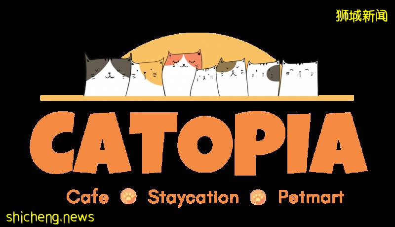 新加坡一家猫旅舍转型成为暖心猫咖!22只可爱小猫等你来RUA