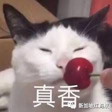 新加坡國歌又雙叒出抒情版　很多人說這回最好聽!