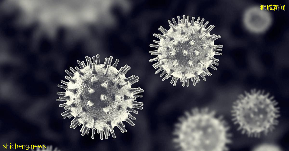 狮城添一死亡病例　11感染群再添新病例