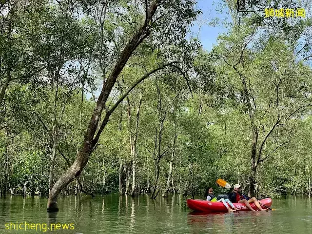 2022新加坡遺産節回歸！更豐富更好玩，5月的四個周末都有精彩安排