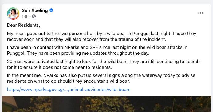 最近，兩人深夜在新加坡遭野豬襲擊，被咬著拖行一米，鮮血淋漓！這個地區要小心