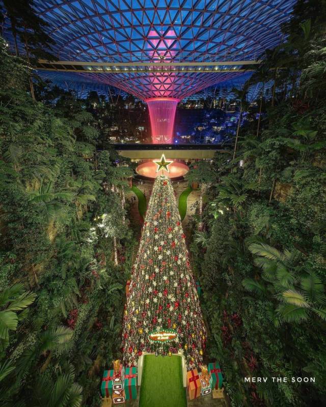 新加坡2020年末💡 7大燈展懶人包！逛展攻略+整合清單✨ 免費入場、聖誕裝置、限時快閃