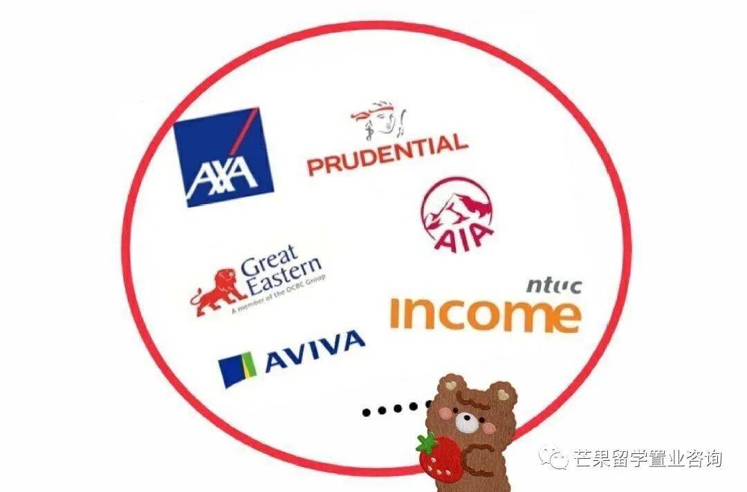 教你在新加坡买保险怎么避坑！和保单的缴费与收款