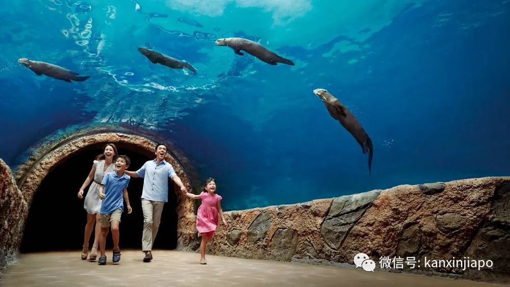 699新币野生动物陪你入眠，新加坡人是有多喜欢扎营