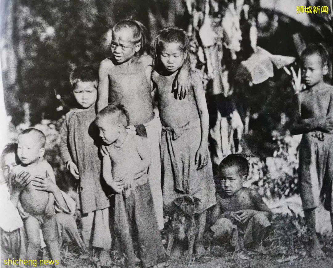 英国女王御用摄影师造访新加坡，他眼中的狮城原来是这样的