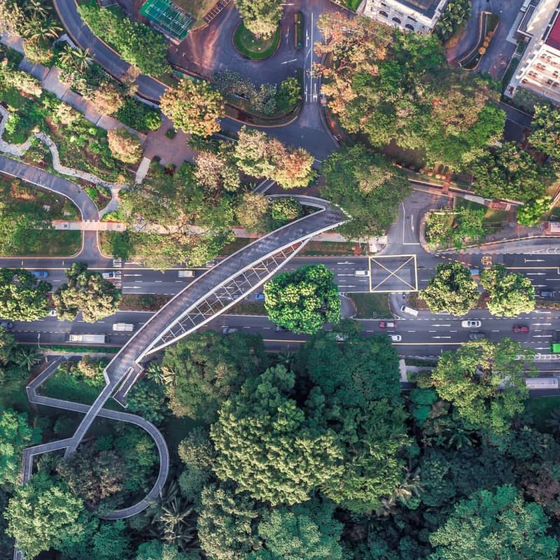 Southern Ridges 南部山脊,新加坡自然景觀帶!穿梭4座園區、多樣化徒步線路🌳 沿路景點大合集