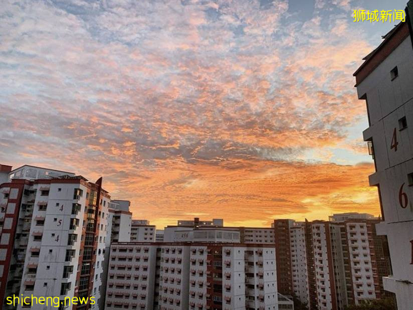 迪拜世博会新加坡馆爆满!新航和樟宜机场再次上榜