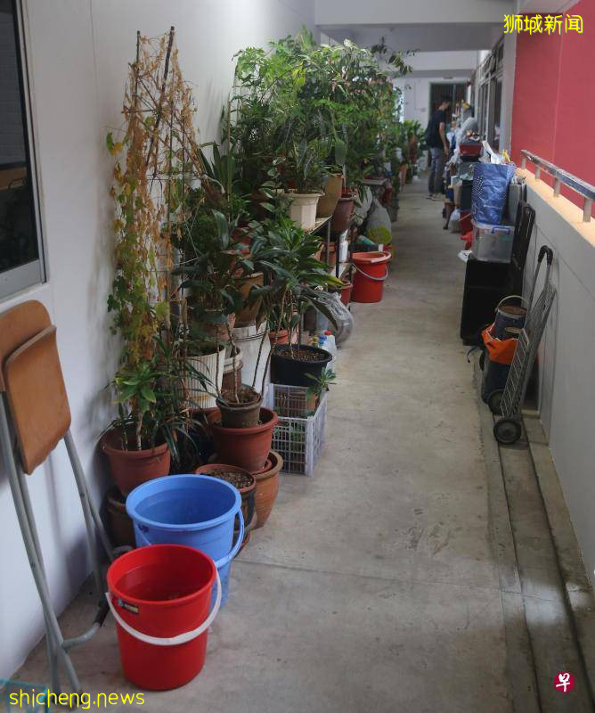 被投诉走廊摆满花盆杂物 屋主：患肺癌种植物为“新鲜氧气”