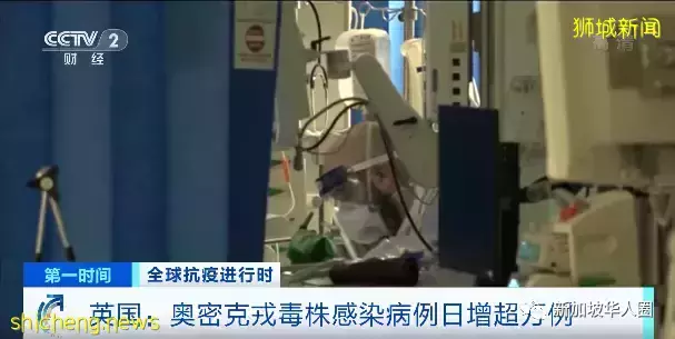 255例，奧密克戎迅速蔓延至89國及地區，新加坡是否會收緊防疫