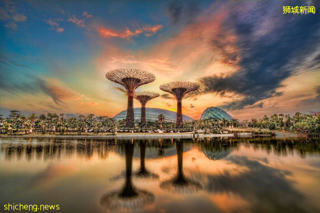 亲近自然！从Kallang到滨海湾超美夜景散心路线 