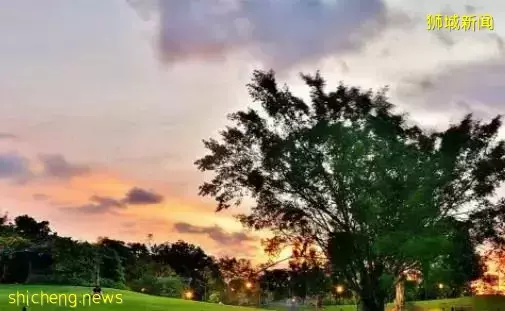 华人心中移民之首先—新加坡