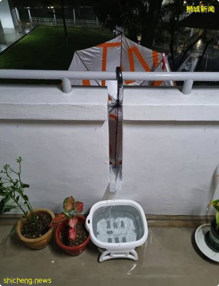 租屋居民搞创意, 走廊装雨伞免费收集雨水