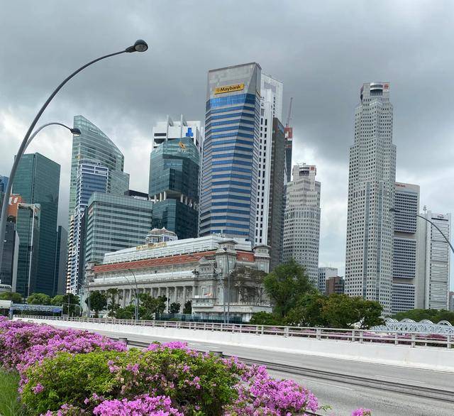 爱上新加坡的理由