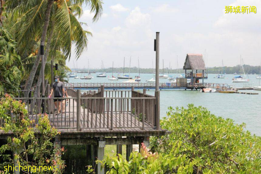 舊樟宜醫院不再陰森森⁉️ 創意提案中華麗變身星空觀景台🌌 樟宜角沿海森林步道提案獲勝