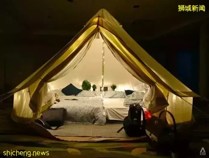 小朋友超爱！裕廊飞禽公园露营！和火烈鸟一起度过美好夜晚