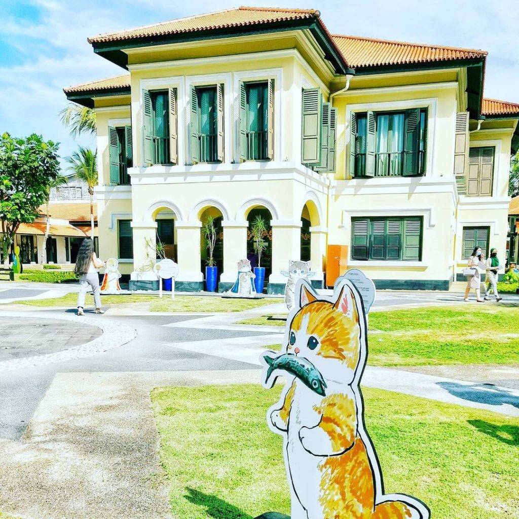 免费展出🎊最新猫咪艺术展限时登场+可爱放送🐱 日本插画家原创作品,青青草坪增添软萌气息