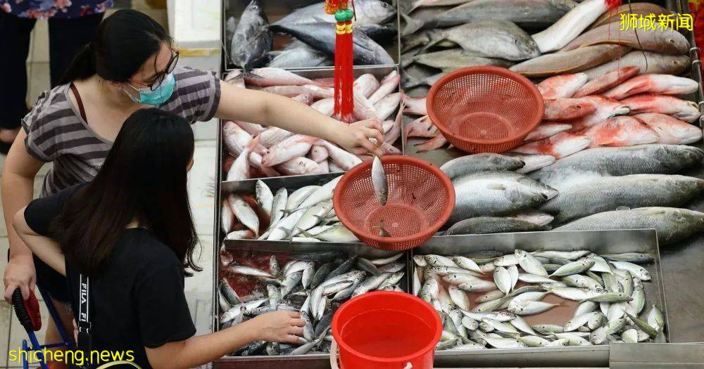 越南女白天賣魚晚上陪酒？新加坡兩大感染群，魚港和KTV確定有聯系