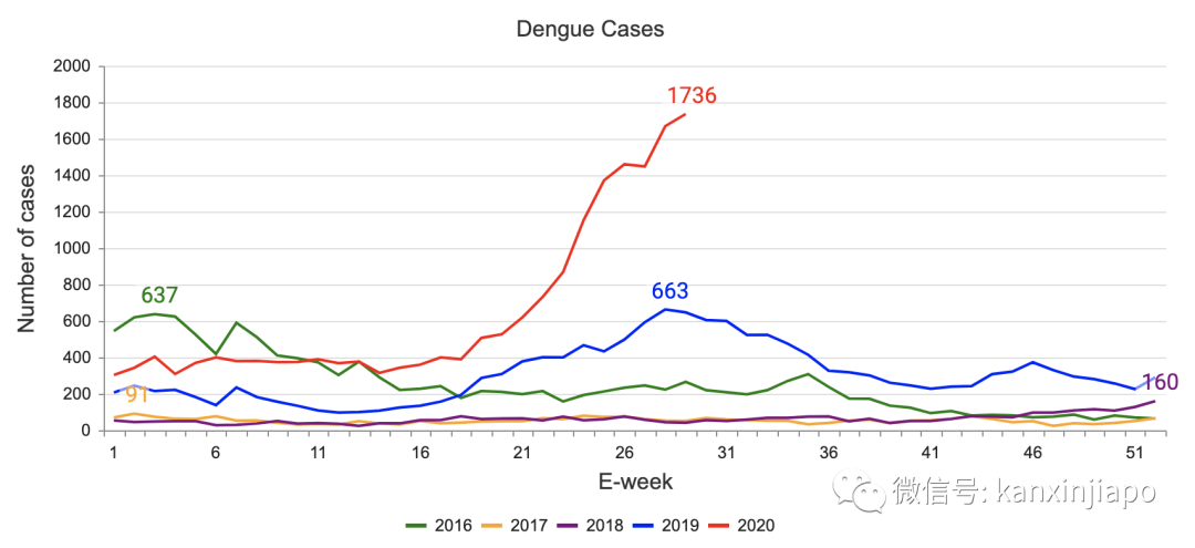 再添三起死亡病例！新加坡骨痛热症病例连续6周破千