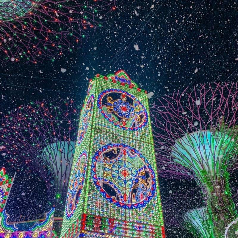2020年聖誕節必去🎄 濱海灣花園 Christmas Wonderland，12月4日閃亮登場✨ 嶄新裝置、7大區域、虛擬實境