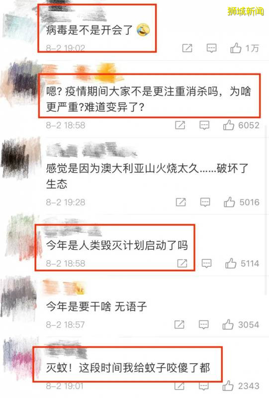 家人群爆了！“新加坡登革熱疫情史上最嚴重” 登上微博熱搜