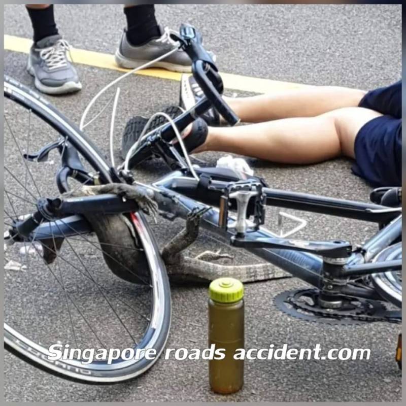 突發！這個海灘驚現一群巨型椰子蟹，還搶燒烤吃！新加坡也被鳄魚、蜥蜴、蟒蛇、水獺、猴子、野豬、野雞嚇到過