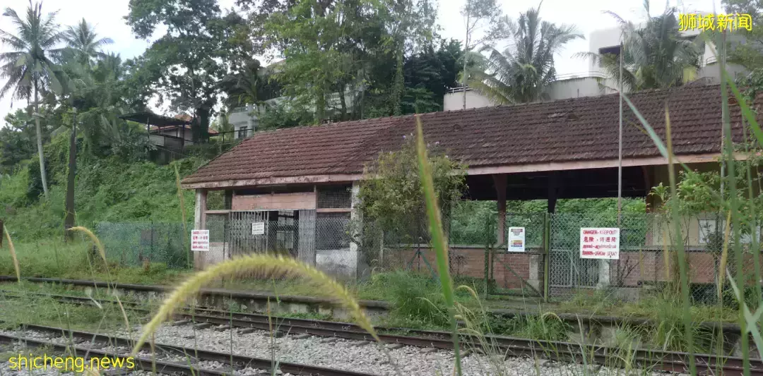 十年后的新加坡会是什么样呢